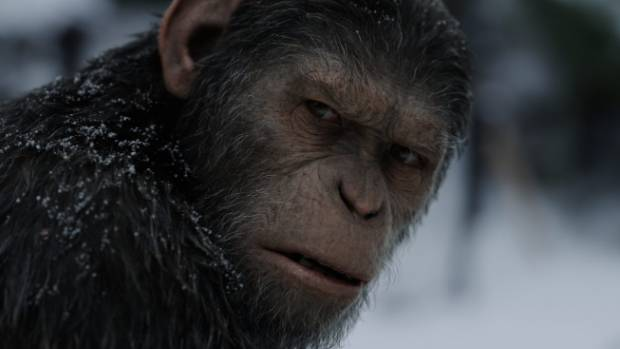 Caesar, dal film "The War - Il pianeta delle Scimmie" - Copyright 2017 Twentieth Century Fox Film Corporation